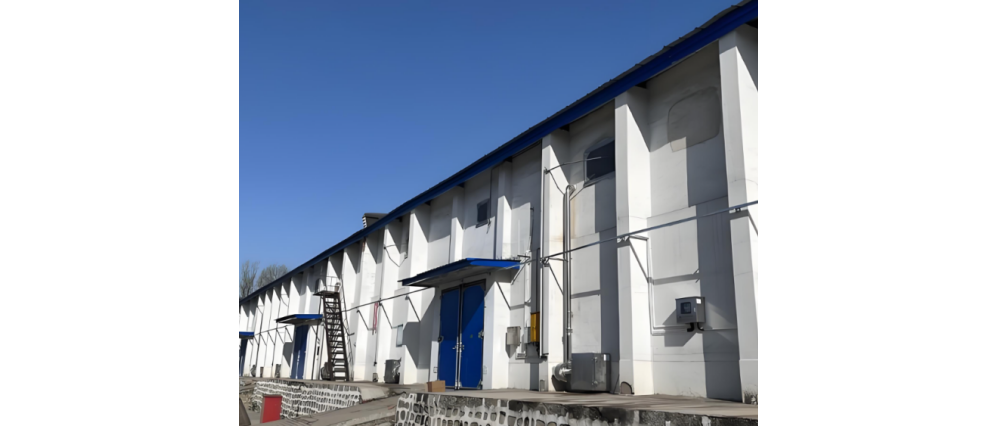 Circulation Fumigation System